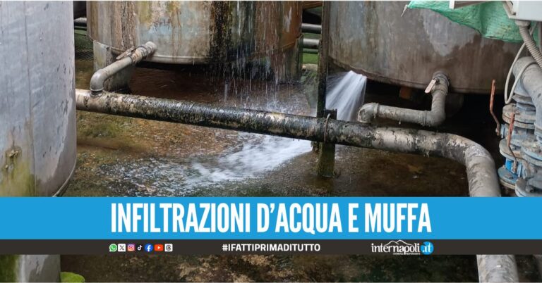 Carenze igienico-sanitarie, sequestrato l’impianto di una lavanderia industriale a Secondigliano