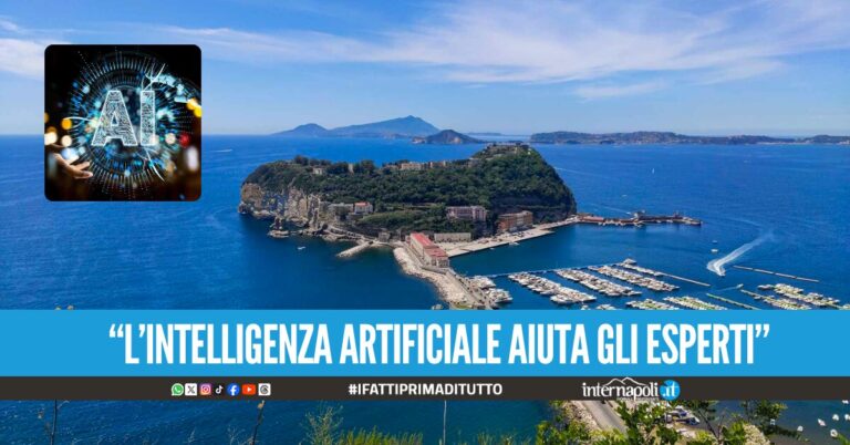 Nuovi Algoritmi per monitorare i Campi Flegrei