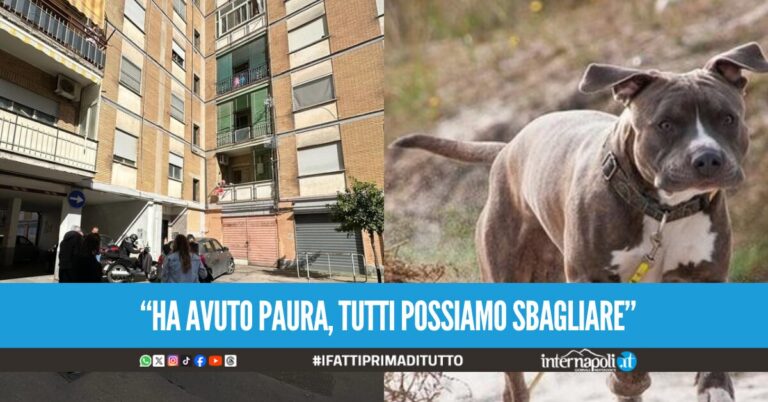 Bimba sbranata ad Acerra, parla la nonna di Giulia: "Credo al papà, è stata una disgrazia"