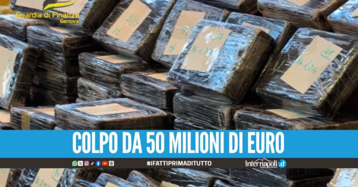 Sequestrati 240 kg di cocaina purissima, 200 panetti scovati al porto di Genova