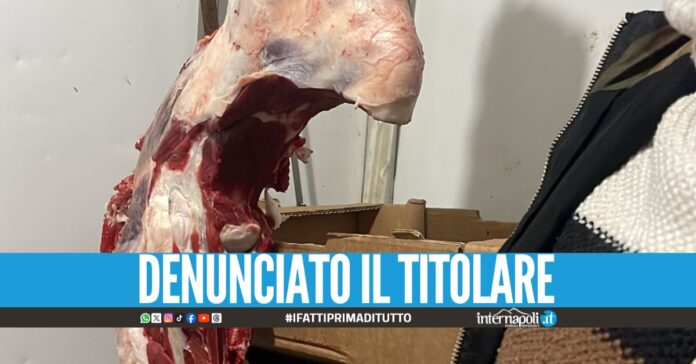 Macelleria illegale a Napoli, sequestrati 300 kg di carne