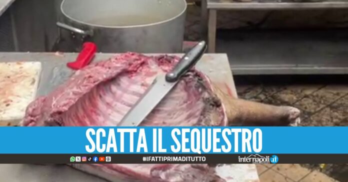 Carne pericolosa trovata nella macellaia a Pomigliano, 4 denunciati