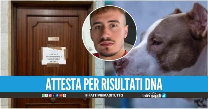 Neonata morta ad Acerra, dissequestrata la casa dell'orrore