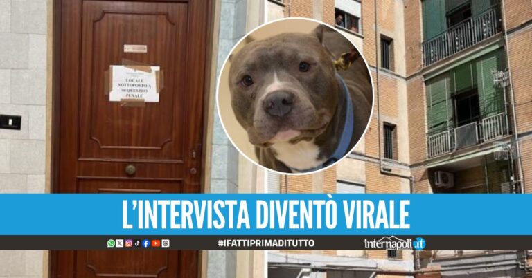 Neonata morta ad Acerra, la denuncia del medico legale: Mai fatta intervista tv