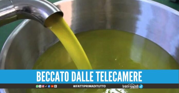 Ruba 50 litri di olio d'oliva da una casa a Sant'Antonio Abate arrestato 49enne