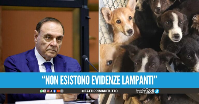 Uomo accusato di violenze sui cani, Mastella annuncia querele: Basta gogna senza prove certe