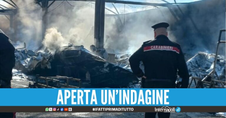 A fuoco rimessaggio a Pozzuoli l'incendio distrugge 50 imbarcazioni