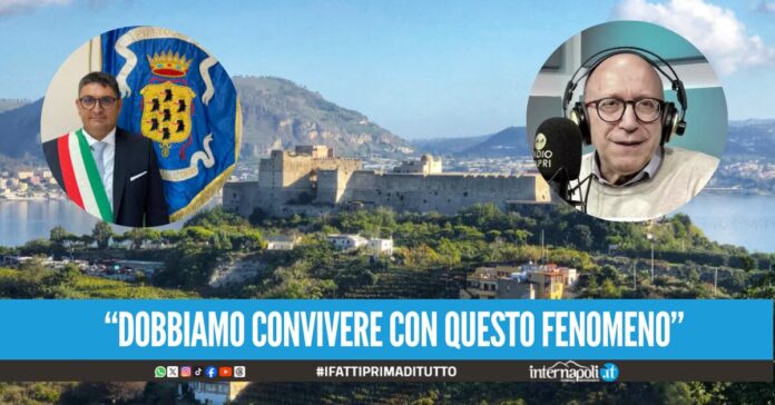 Mauro Di Vito sulla situazione dei Campi Flegrei durante la seduta a Pozzuoli