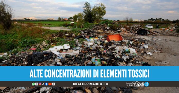 Terra dei Fuochi in Campania: uno studio sulle aree 'pulite' rileva picchi di veleno nelle piante