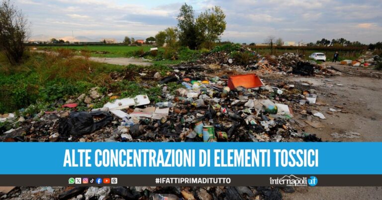 Terra dei Fuochi in Campania: uno studio sulle aree 'pulite' rileva picchi di veleno nelle piante