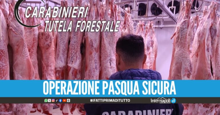 Maxi sequestro di carne a San Marcellino, blitz nel macello