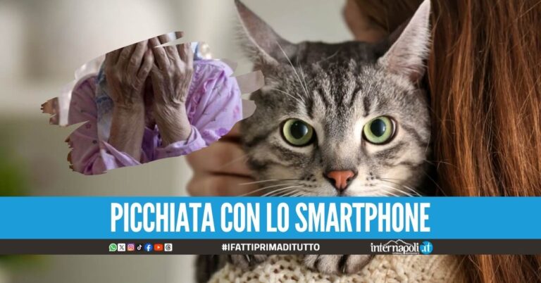"Avete perso il gatto", picchia la mamma e la sorella a Portici