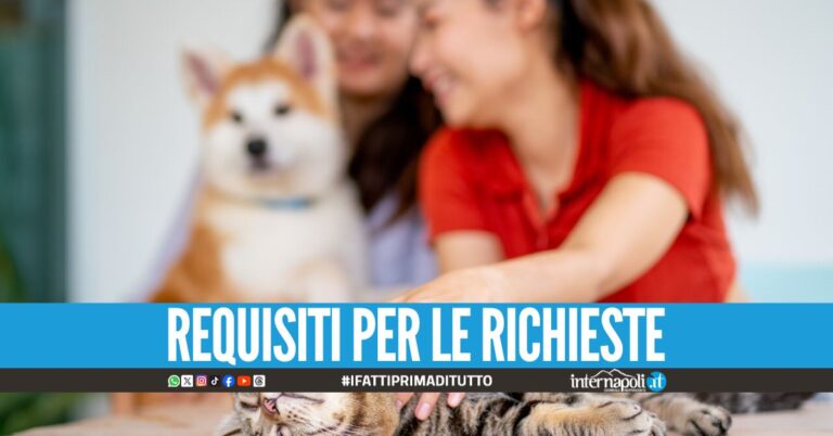 Bonus animali domestici fino a 550 euro, aiuto per le spese veterinarie
