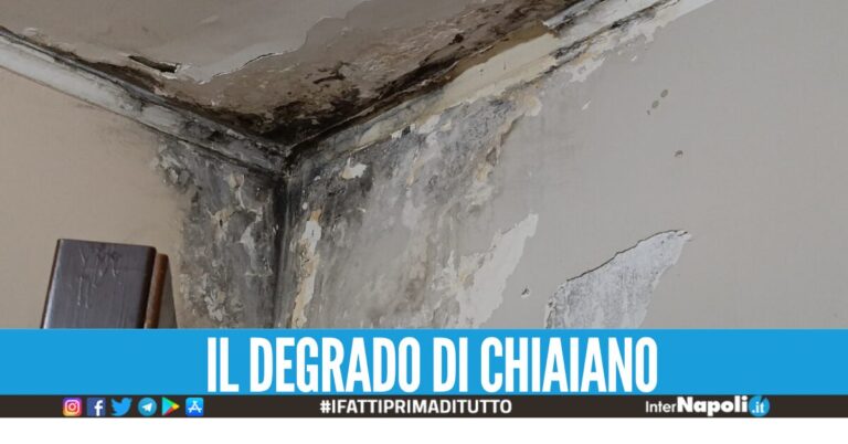 Chiaiano, case ammuffite e palazzi degradati. I residenti: “Nostra salute a rischio” https://nap.li/BXZ3