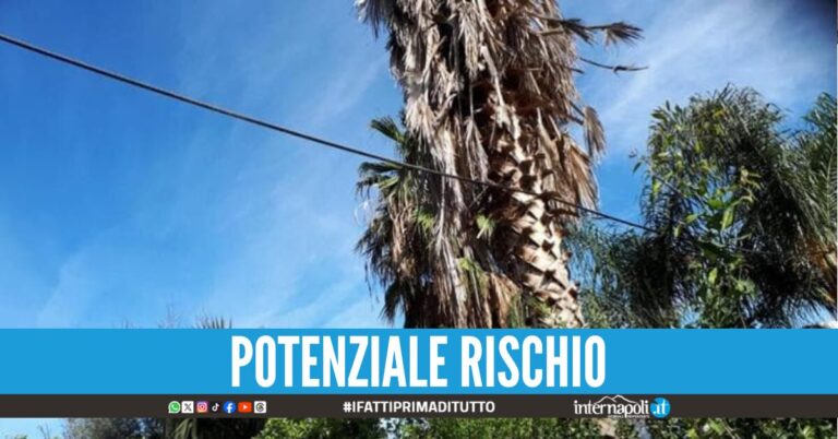 Funivia del Faito, cavo sulle case a Castellammare sgomberate 4 famiglie