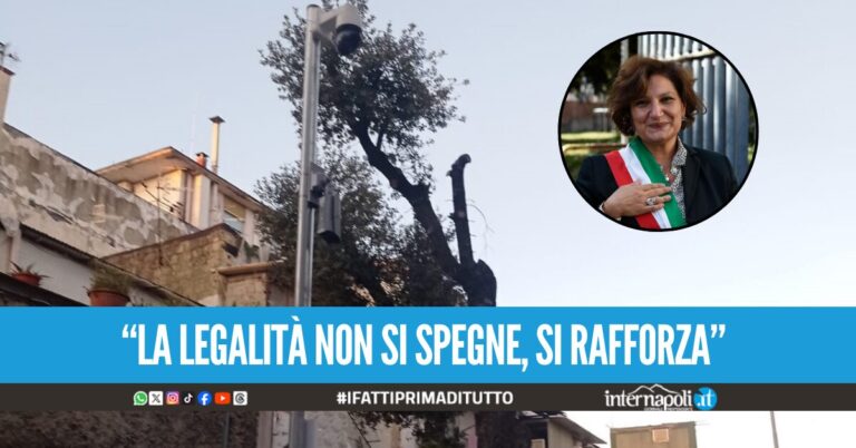 Raid vandalico contro le telecamere di videosorveglianza ad Arzano, la sindaca: "Non ci lasciamo intimidire"