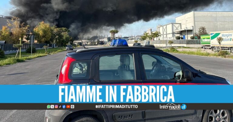 Fuga di 70 operai dalla Chimpex, bruciano litri di solventi a Caivano