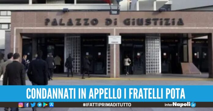 fratelli pota 2