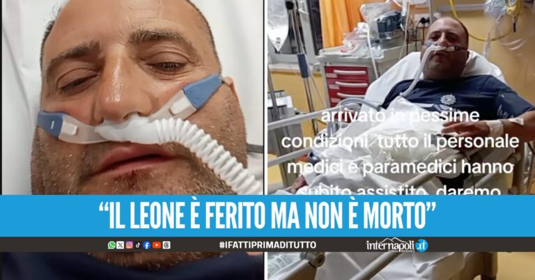 Ansia per Papusciello, il titktoker intubato all'ospedale di Castellammare