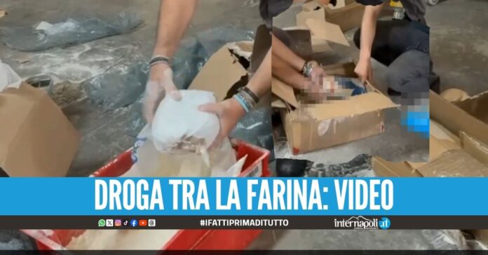 Cocaina rosa da Napoli nord a Los Angeles, c'è il maxi sequestro