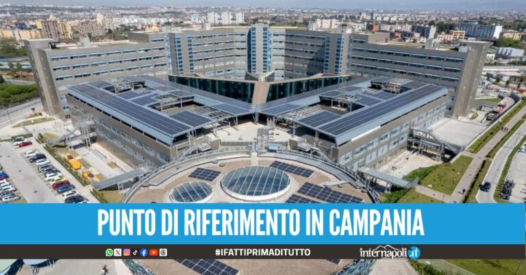 Ospedale del Mare, premiato come eccellenza nel trattamento dell'ictus