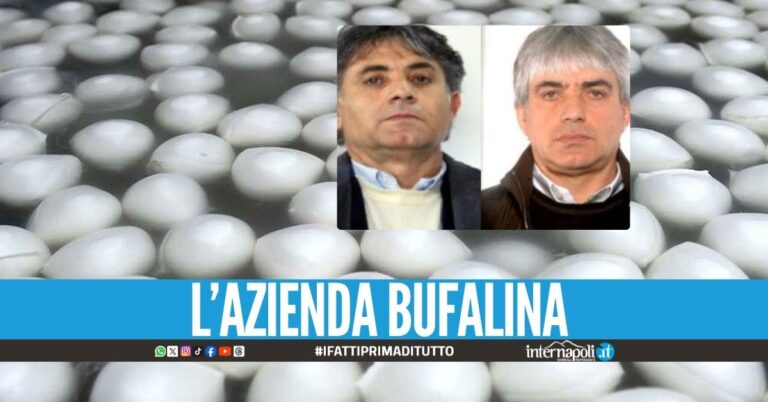 Chieste le condanne per i fratelli del boss Zagaria per gli affari sulle bufale