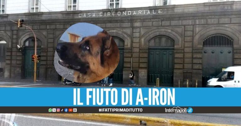 Scova 50 grammi di hashish nel carcere di Poggioreale, è l'incubo dei pusher