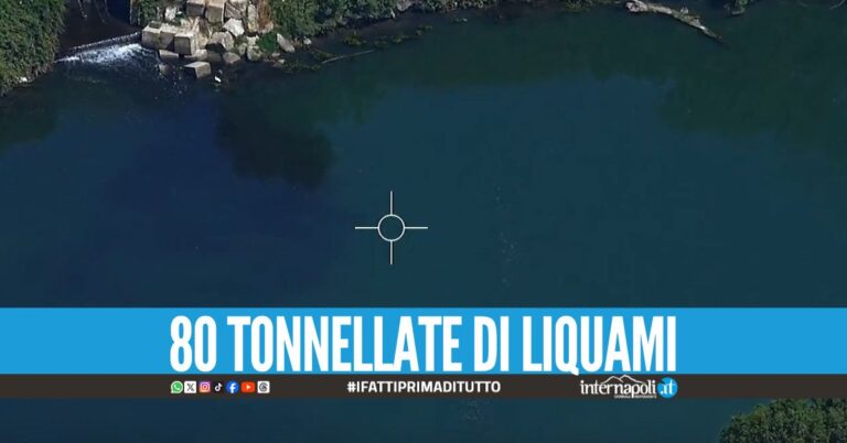 Mare invaso dalle feci delle bufale, beccate 3 aziende nel Salernitano