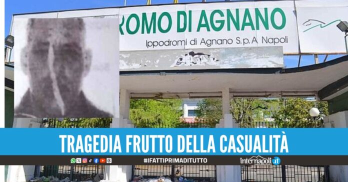 Morto schiacciato da un albero a Napoli, gestori ippodromo assolti