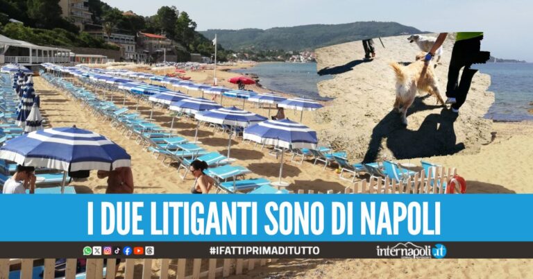 "Il cane qui non può stare", lite in spiaggia tra bagnanti finisce a botte