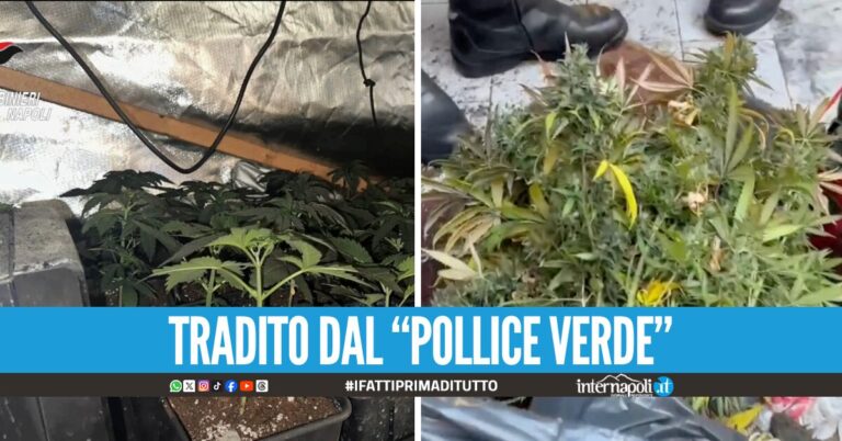 Scoppia incendio in un appartamento a Chiaiano, dentro c'era una serra di marijuana
