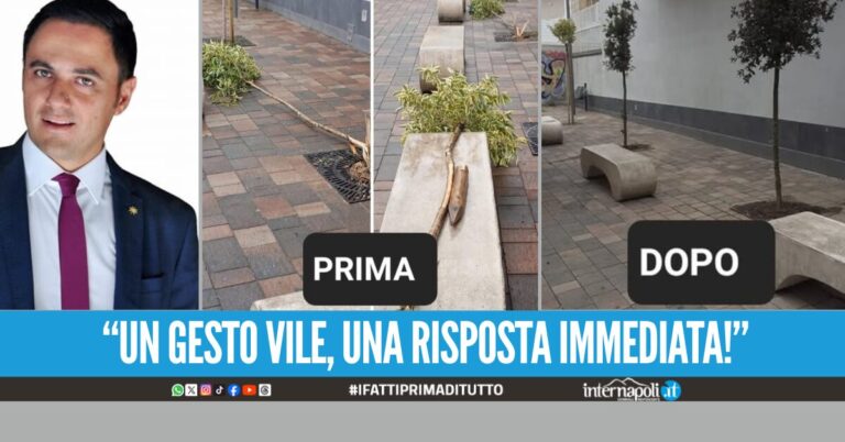 Vandali in azione a Qualiano, strappate le piantine. Il Comune le sostituisce subito