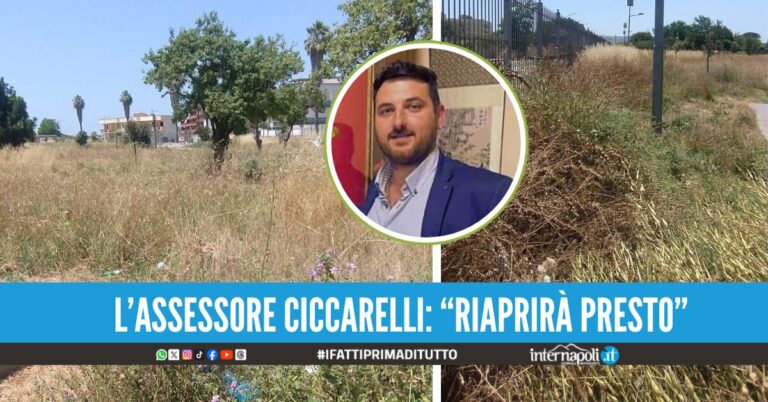 Villaricca. Erba alta alla villetta comunale di Corso Italia, la denuncia E' la savana