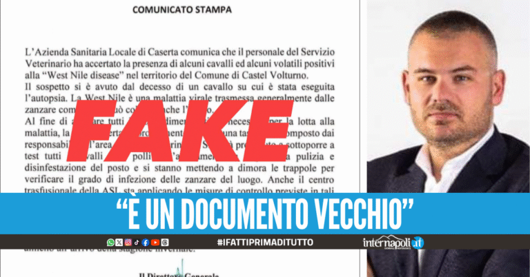 "È una fake news", il sindaco smentisce i casi del virus West Nile a Castel Volturno