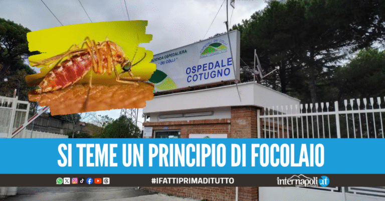 E' allarme virus West Nile in Campania, quattro persone ricoverate in rianimazione