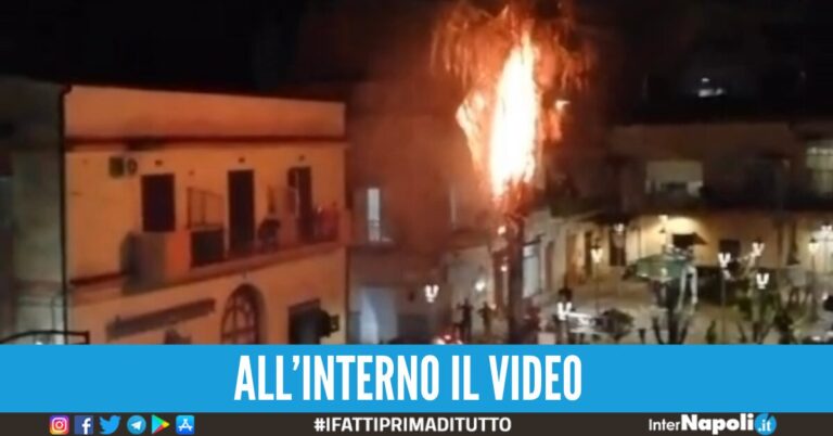Festa con fuochi d’artificio illegali a Melito, distrutta dalle fiamme palma ultradecennale