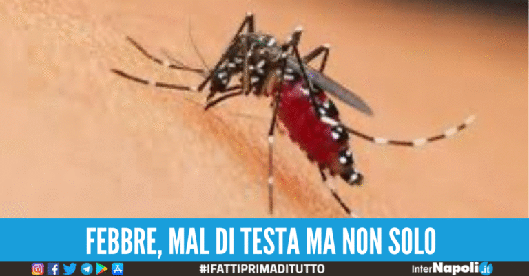 Dalla puntura ai primi sintomi: come si manifesta il virus West Nile