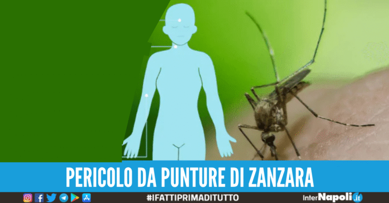 Febbre West Nile: come prevenirla e come curarla in assenza di un vaccino