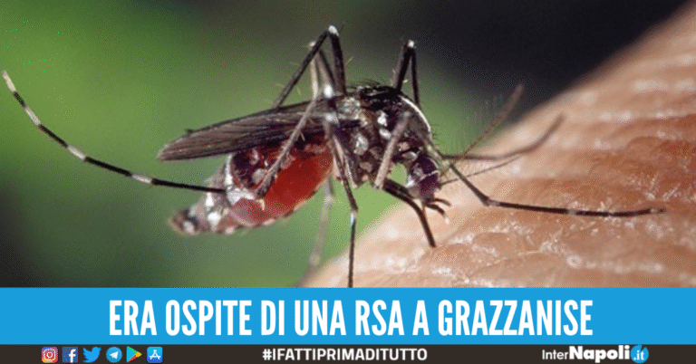 Virus Nile West, quinta vittima in Campania: è un 76enne