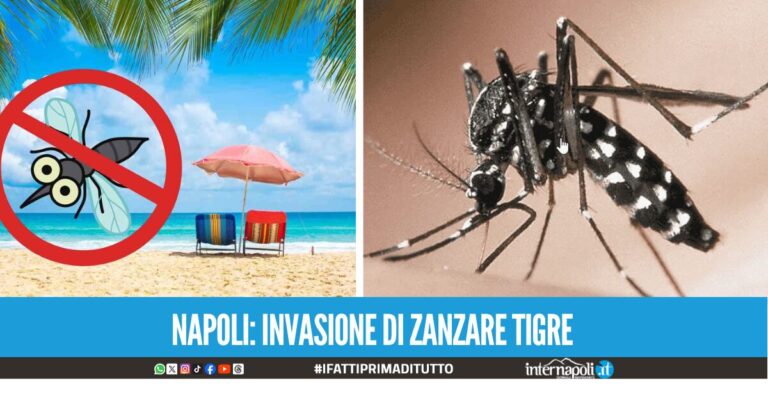 Napoli invasa dalle Zanzare tigre: rischio di malattie infettive e rimedi per sfuggire alle punture