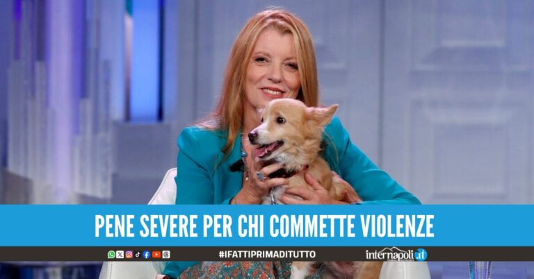 Carcere e multe per chi maltratta gli animali, in vigore la legge Brambilla