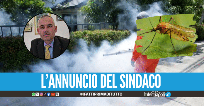 Virus West Nile nel Casertano, via alla disinfestazione straordinaria nel comune di Castel Volturno