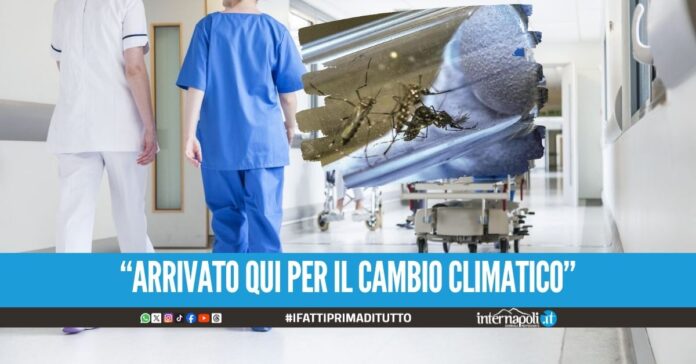 Febbre del Nilo. Più controlli all'ospedale Cardarelli: 2 ricoverati al Cotugno