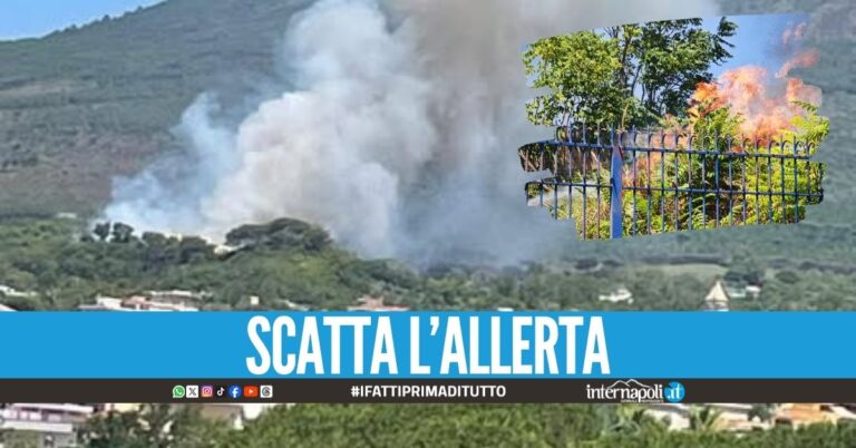Incendio sul Vesuvio, il sindaco: "11 squadre addette allo spegnimento"