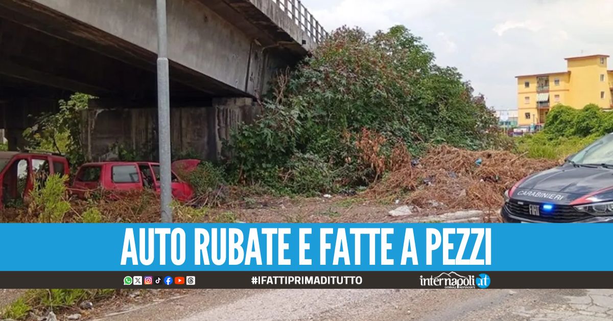 Il 'cimitero' delle auto scovato sotto le rampe dell'Asse Mediano