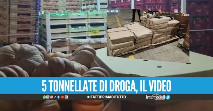 Droga nascosta tra le zucche, maxi sequestro ai narcos di Marano e Napoli