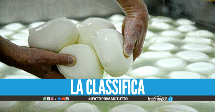 Campionato della Mozzarella 2025, la medaglia d'oro va al caseificio San Salvatore a Paestum