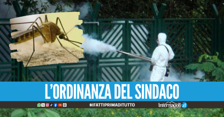 Virus West Nile in Campania, disinfestazione straordinaria anche nel comune di Pozzuoli