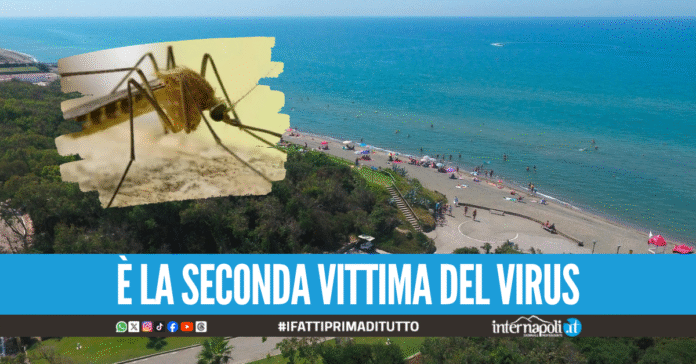Tragedia dopo la vacanza a Baia Domizia, un'altra vittima del West Nile