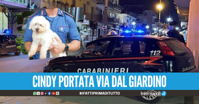 Dal cavallo al 